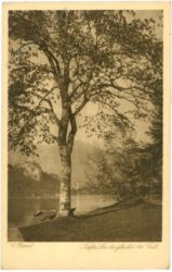 koppel, s.: tiefer see du gleichst der seele