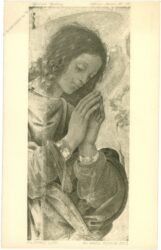 lippi, filippino: an angel adoring