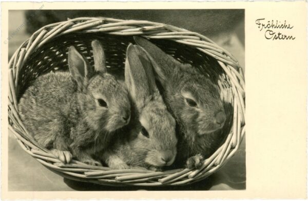 ostern, hasen im korb