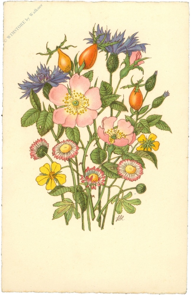 blumenstrauß