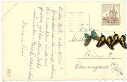 weihnachten, zweig mit kugeln