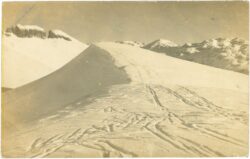 altaussee, bräuningalm