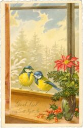weihnachten, zwei blaumeisen am fenster
