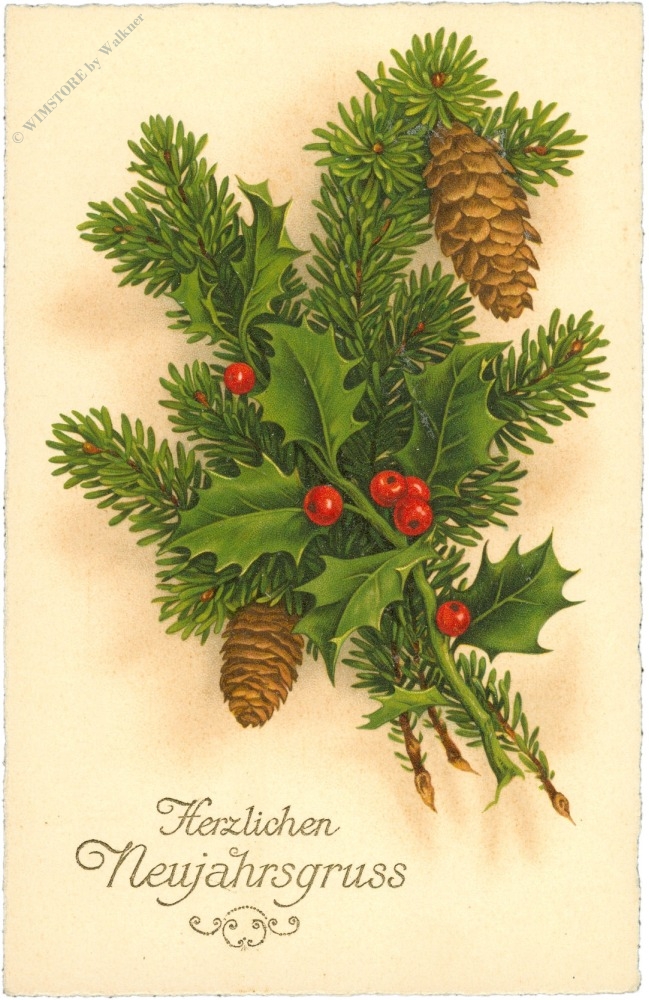 neujahr, zweige und zapfen neujahr, zweige und zapfen