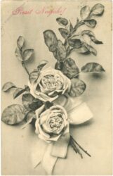 neujahr, rosen neujahr, rosen