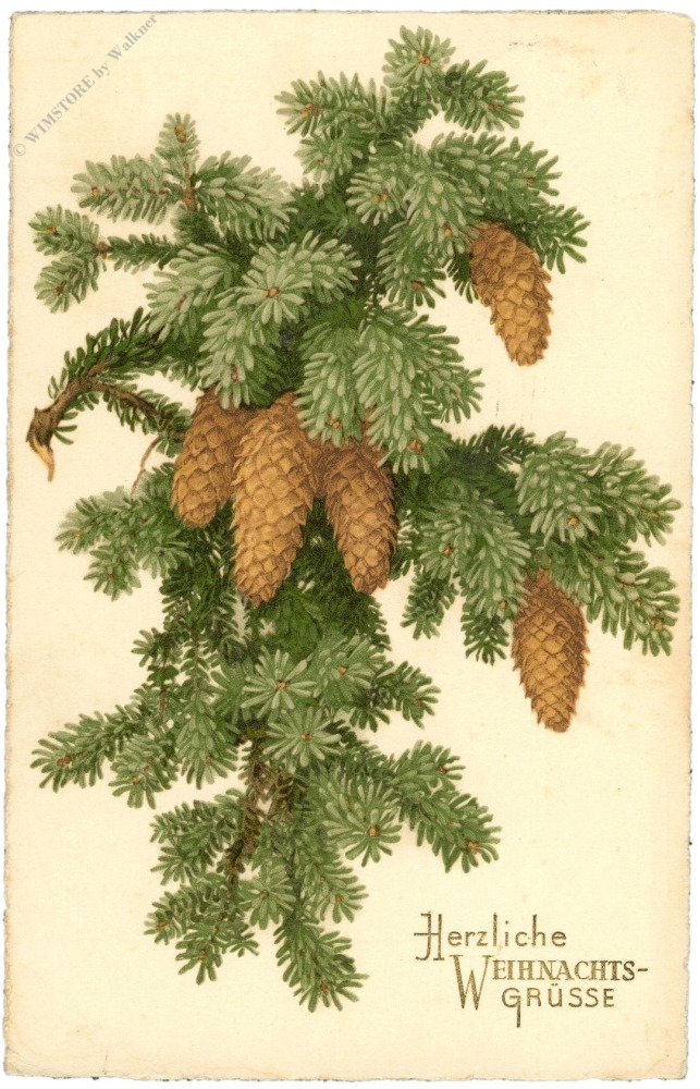 weihnachten, zweige und zapfen