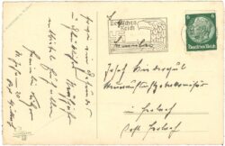 weihnachten, zweige und zapfen