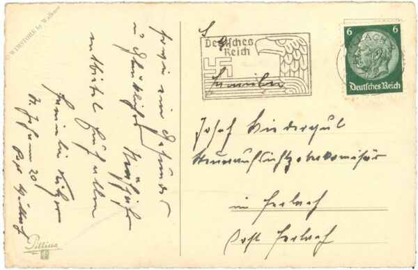 weihnachten, zweige und zapfen