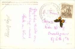 schneeberg, zahnradbahn auf den hochschneeberg