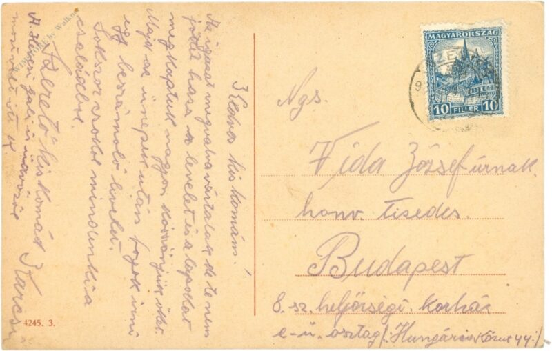 pfingsten, rote rosen