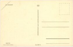 weihnachten, zweige und zapfen