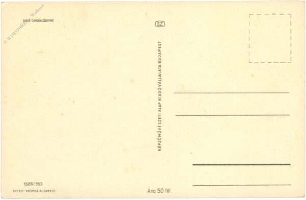 weihnachten, zweige und zapfen