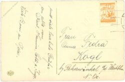 namenstag, nelken und veilchen