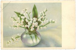 maiglöckchen in einer vase
