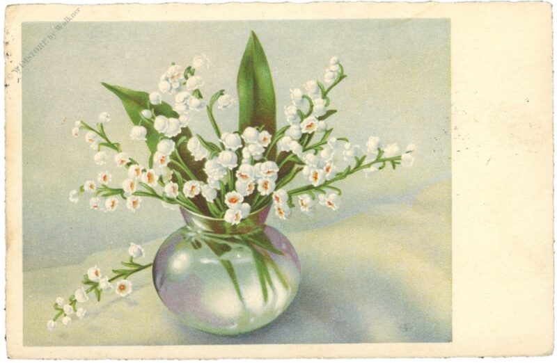 maiglöckchen in einer vase