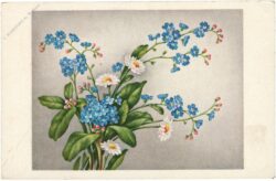 frühlingsblumen