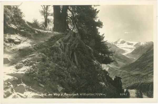 vent, am weg zum ramoljoch, wildspitze