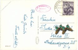 maria trost, ansicht