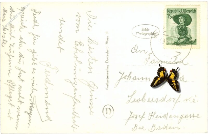 oberrohrbach, allg. invalidenversicherungsanstalt