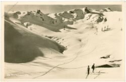 mitterkaseralm