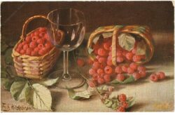 himbeer ernte