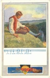 in einem kühlen grunde ...