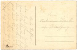 namenstag, mädchen mit blumen