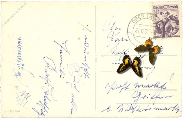 weihnachten, engel im wald