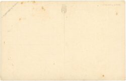 engelhardt, k.: schwestern