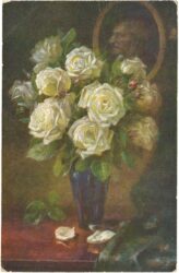weiße rosen in einer vase
