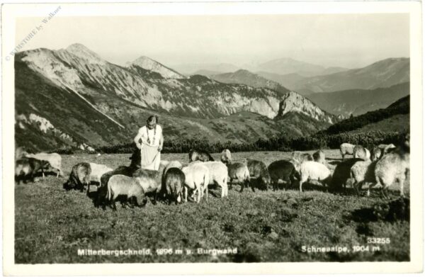 schneealpe, mitterbergschneid und burgwand