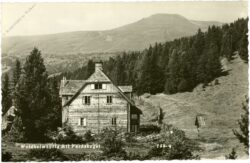 st. anna am lavantegg, waldheimhütte mit fuchskopf