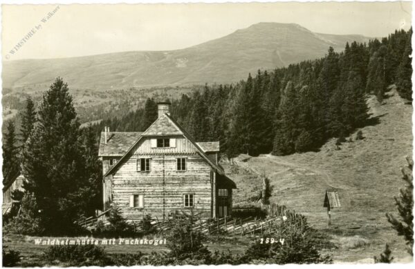 st. anna am lavantegg, waldheimhütte mit fuchskopf