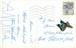 edelschrott, ortsansicht