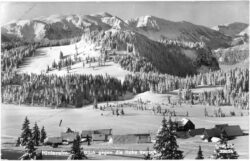 hinteralm, blick gegen die hohe veitsch