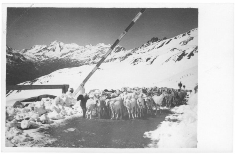 großglockner, ansicht