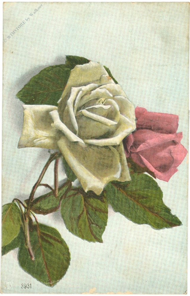 rosen