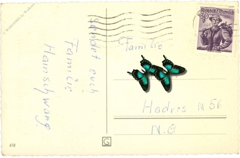 ostern, hasen auf der wiese