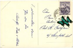 ostern, ei in blumenbett