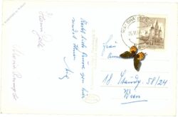 waldhausen, inneres der stiftskirche