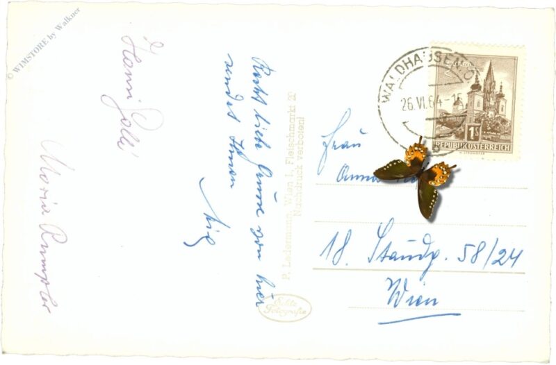 waldhausen, inneres der stiftskirche