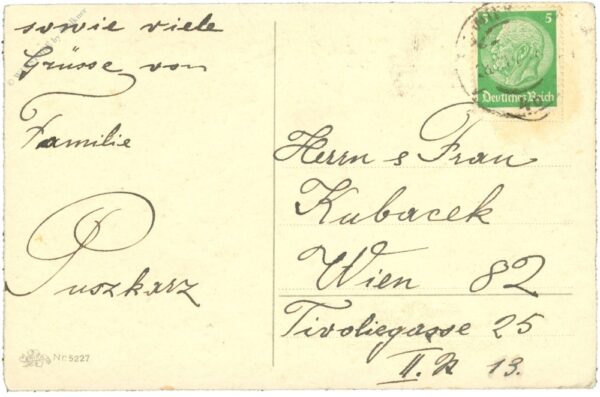 neujahr, christrosen mit zweigen