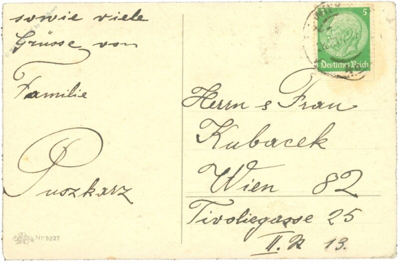 neujahr, christrosen mit zweigen