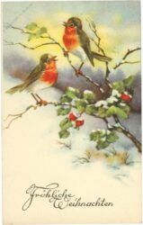 weihnachten, zwei rotkehlchen