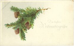 weihnachten, tannenzweig mit zapfen