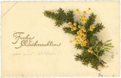 weihnachten, zweige