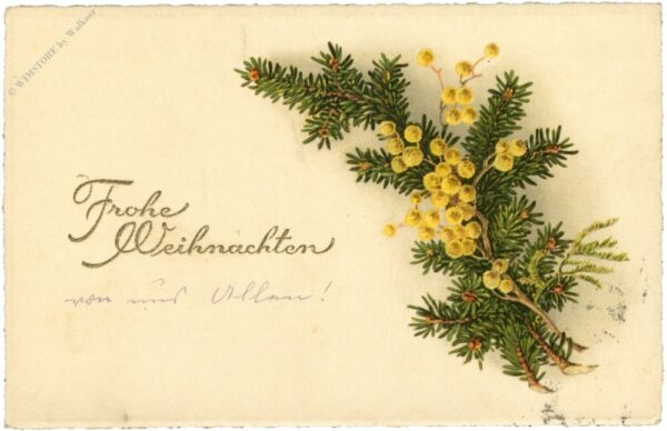 weihnachten, zweige