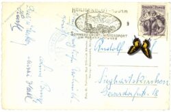 großglockner, hochalpenstrasse, parkplatz freiwandeck mit pasterze und großglockner