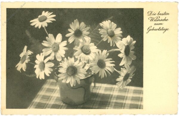 geburtstag, margeriten geburtstag, margeriten