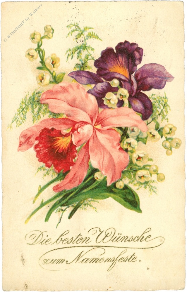 namenstag, orchideen namenstag, orchideen